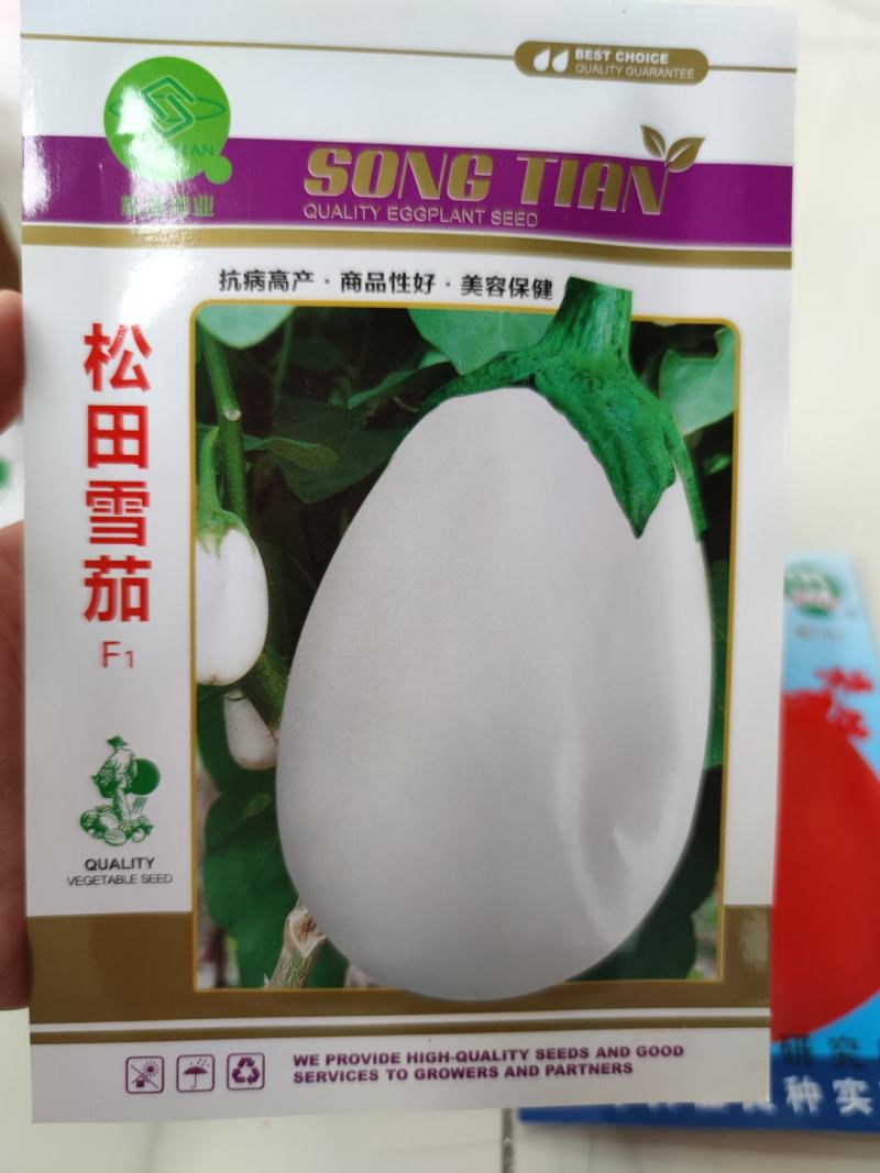 松田雪茄茄子种子，韩国引进！白罐茄子种子，白茄子种子