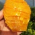 纽荷尔橄榄脐橙长虹甜橙广柑产地直供果园看货。