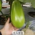 北斗绿宝茄子种子特高产抗病大果茄子种子基地专用灯泡茄种子