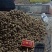 新鲜花生，白沙，四粒红，供各大市场电商加工厂超市社区团购