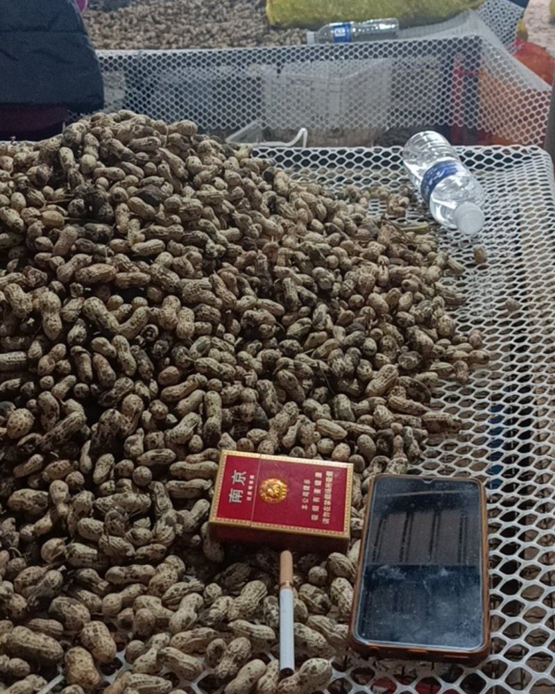 新鲜花生，白沙，四粒红，供各大市场电商加工厂超市社区团购