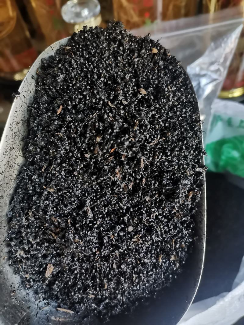 黑蚂蚁东北长白货干杂质少山正宗可泡酒药食两用一斤起