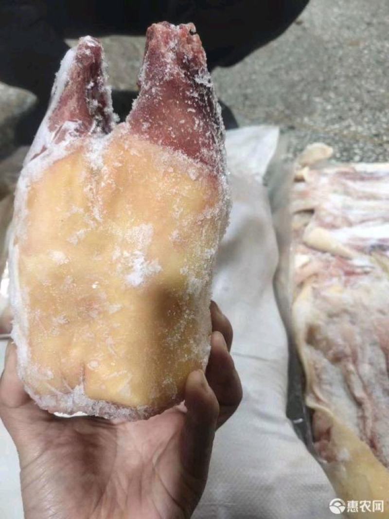 火烧牛蹄去毛干净清水冲洗大量有货牛蹄切块