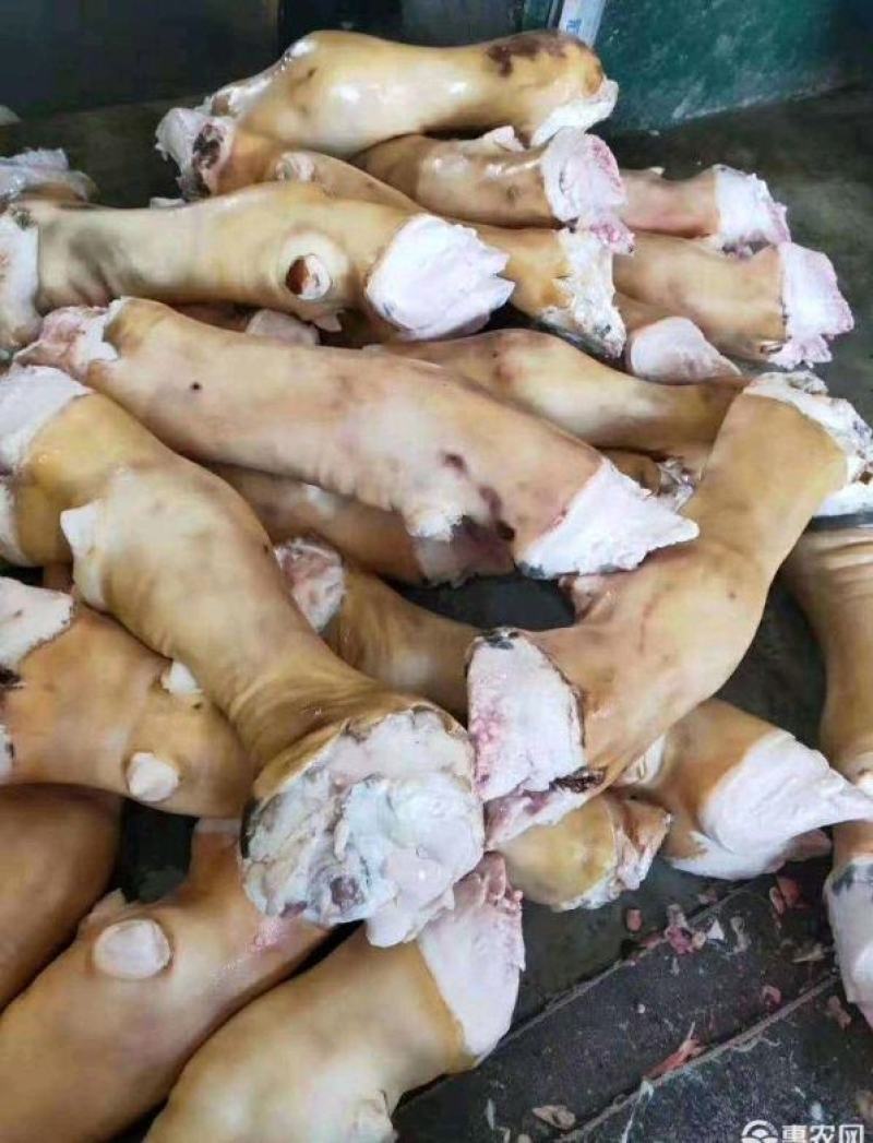 火烧牛蹄去毛干净清水冲洗大量有货牛蹄切块