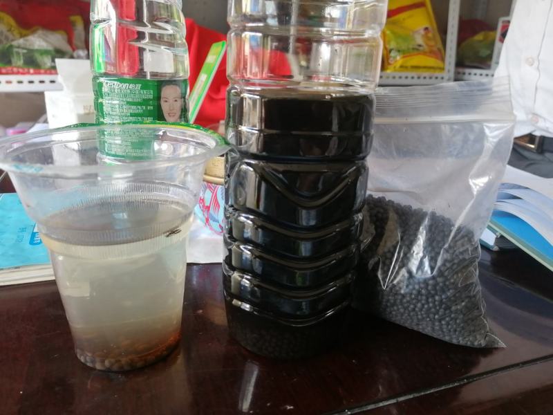 坚果苗，八角苗坚果专用肥，泰国红肉干包菠萝蜜