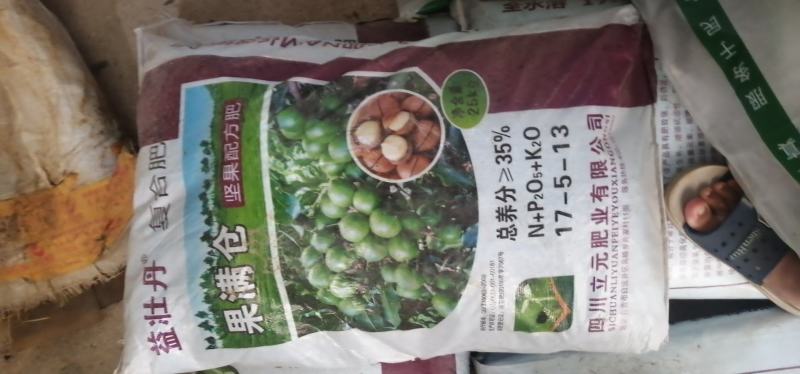 坚果苗，八角苗坚果专用肥，泰国红肉干包菠萝蜜