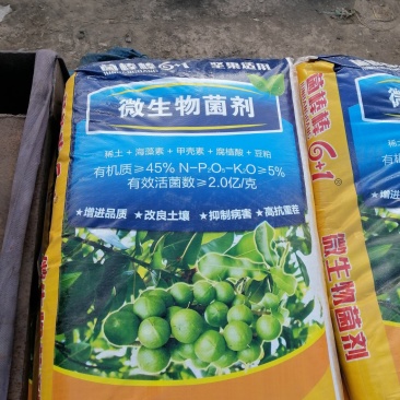 坚果苗，八角苗坚果专用肥，泰国红肉干包菠萝蜜