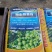 坚果苗，八角苗坚果专用肥，泰国红肉干包菠萝蜜