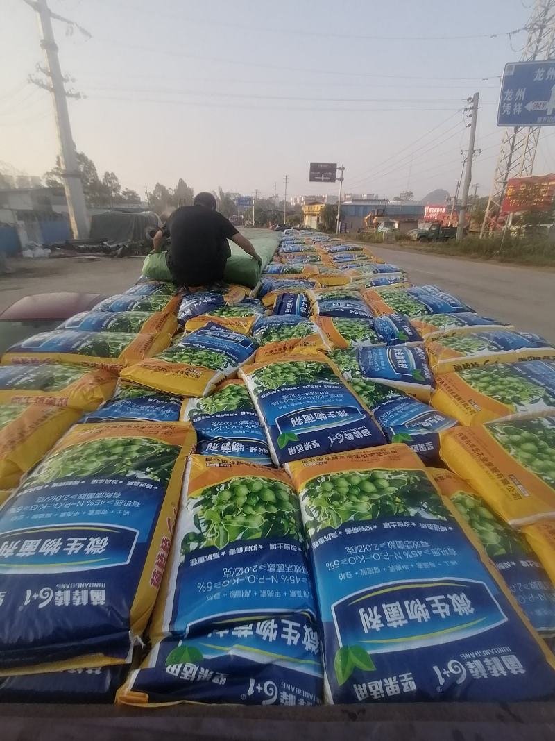 坚果苗，八角苗坚果专用肥，泰国红肉干包菠萝蜜