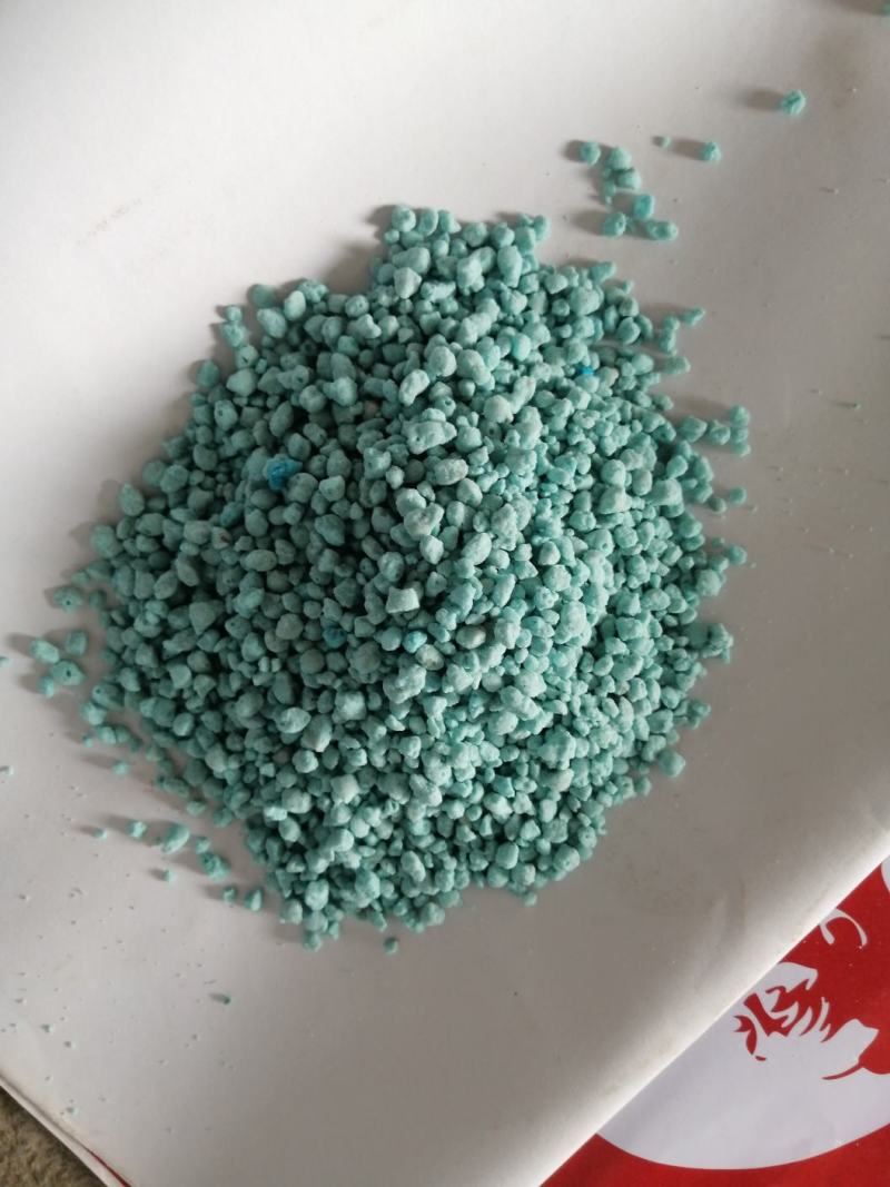 坚果苗，八角苗坚果专用肥，泰国红肉干包菠萝蜜