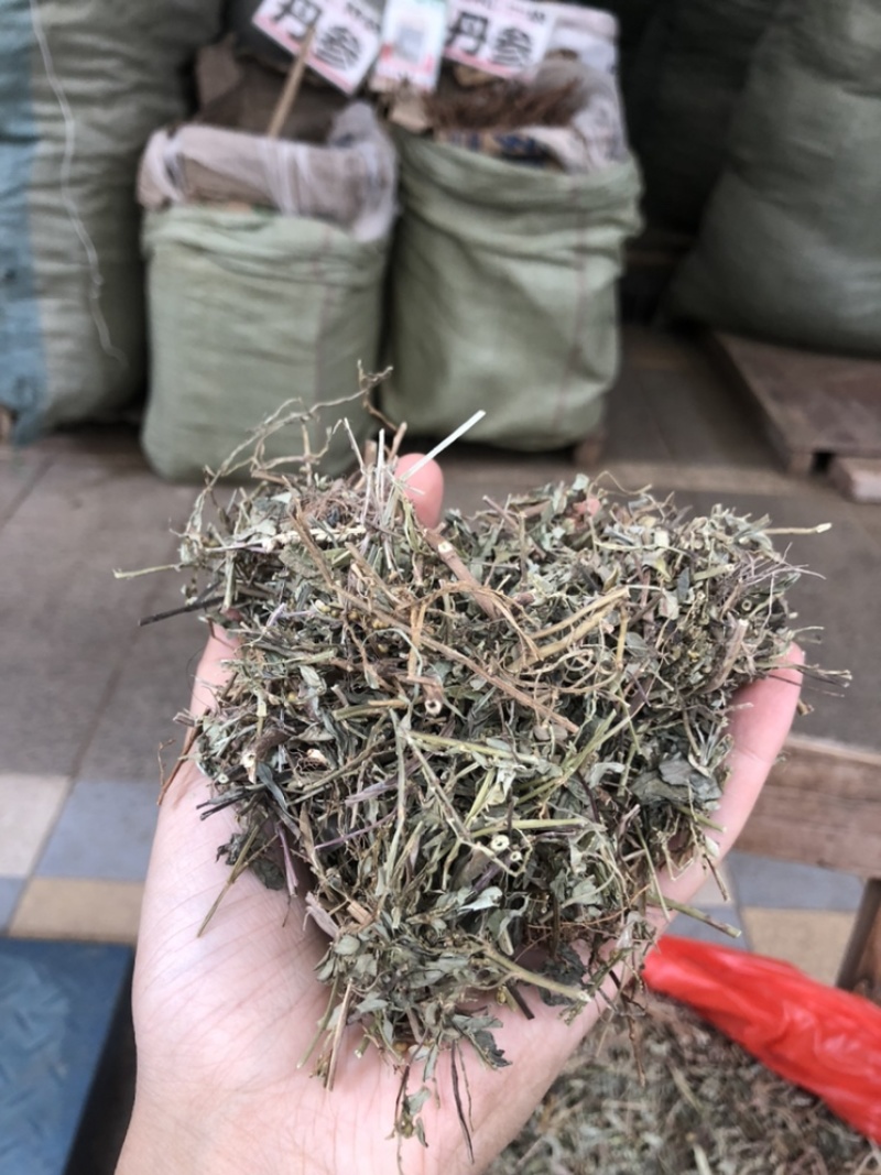 珍珠草