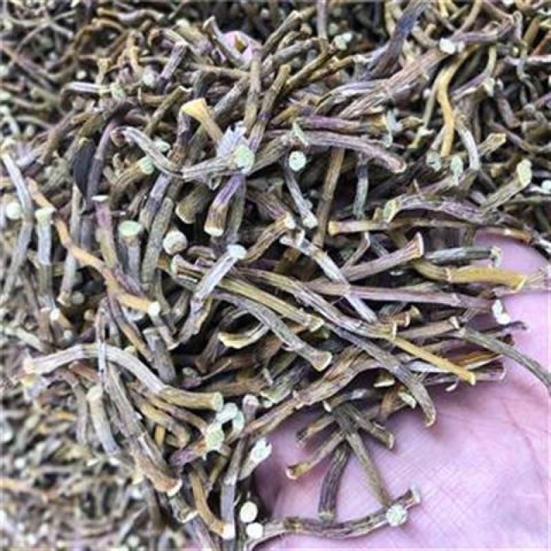 雁荡山4年铁皮石斛干条正宗普通级促销款非霍山石斛寸金条