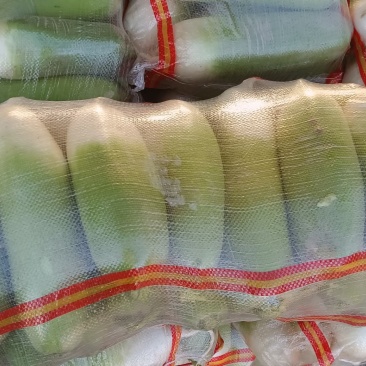 甘肃白银青萝卜量大优惠产地直发欢迎选购