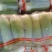 甘肃白银青萝卜量大优惠产地直发欢迎选购