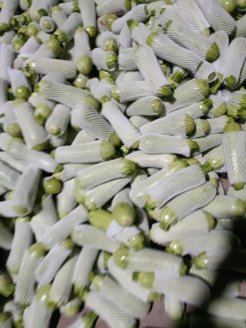 热销推荐！实力供货