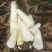 黄笋干高山竹笋干农家货，无硫加工，品质保证