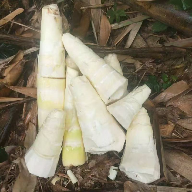 黄笋干高山竹笋干农家货，无硫加工，品质保证