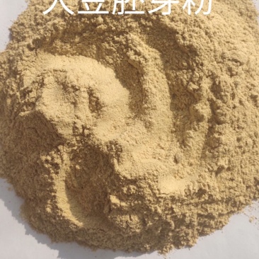 【热销】大豆胚芽粉，高蛋白用适用于饲料厂，养殖场，调理