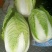黄心菜杠菜辣椒萝卜花生地瓜