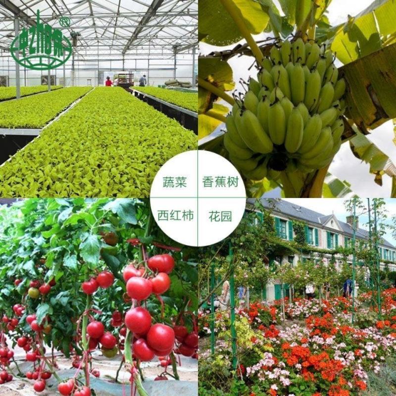 磷酸二氢钾花肥植物家用养花花肥绿萝磷钾肥