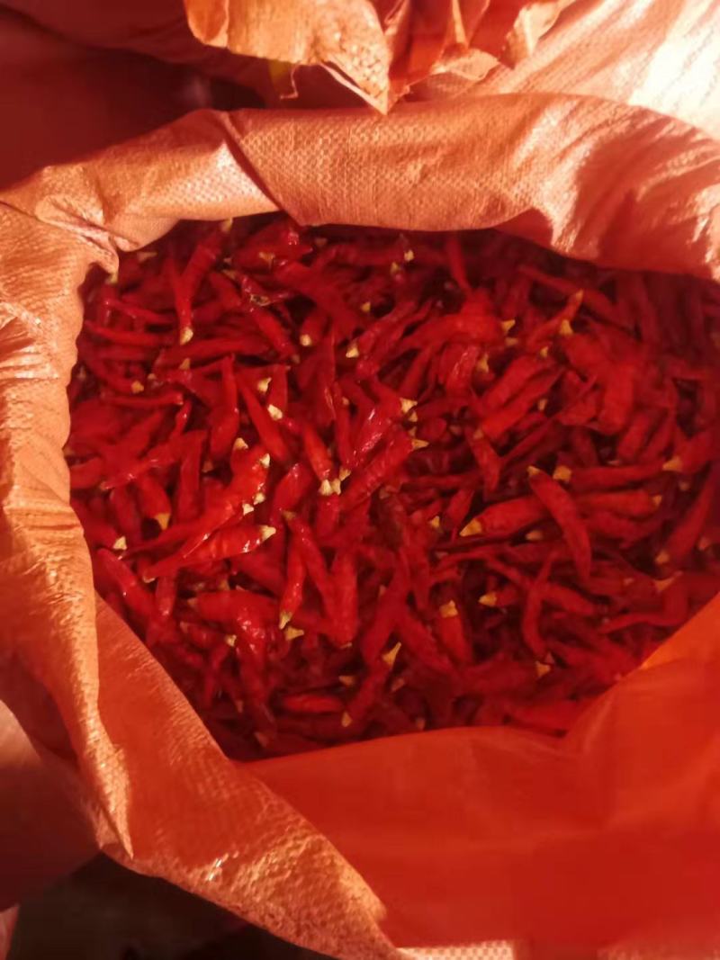 艳红辣椒干辣椒，做辣椒我们是专业的