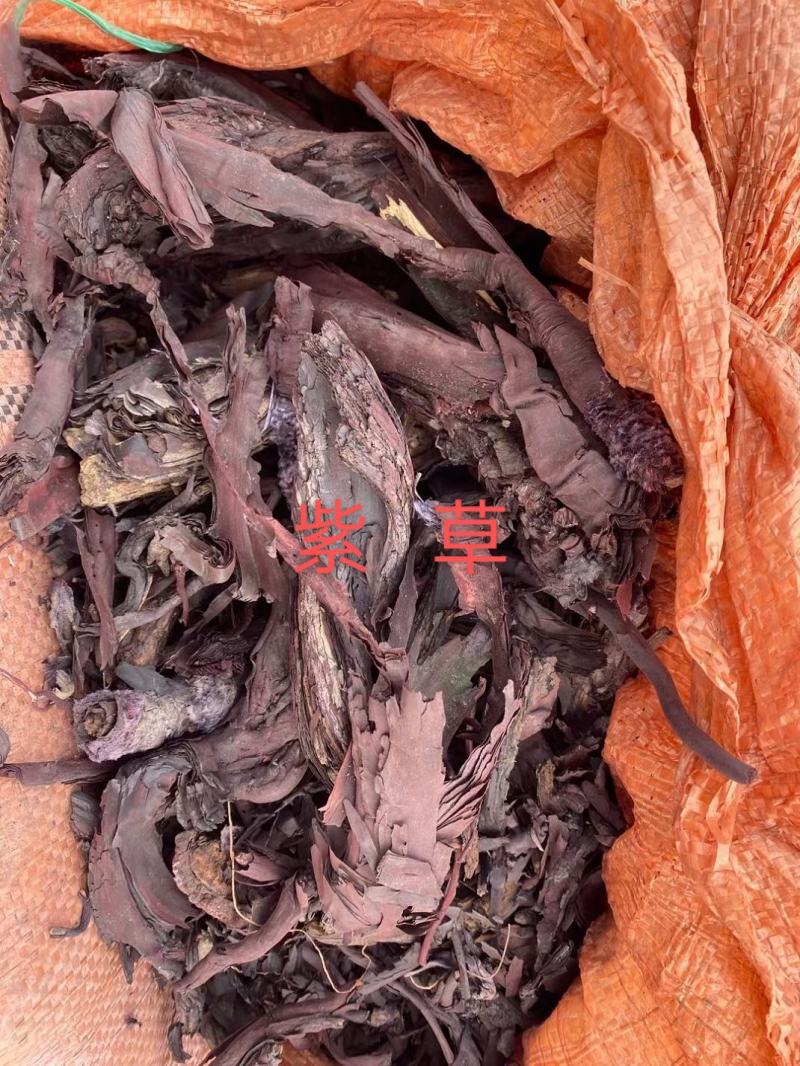 紫草，正品新疆软紫草质量保证，经营各种中药材欢迎咨询购买