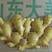 小黄姜，山东生姜产地常年批发，产地一手货源保质保量，