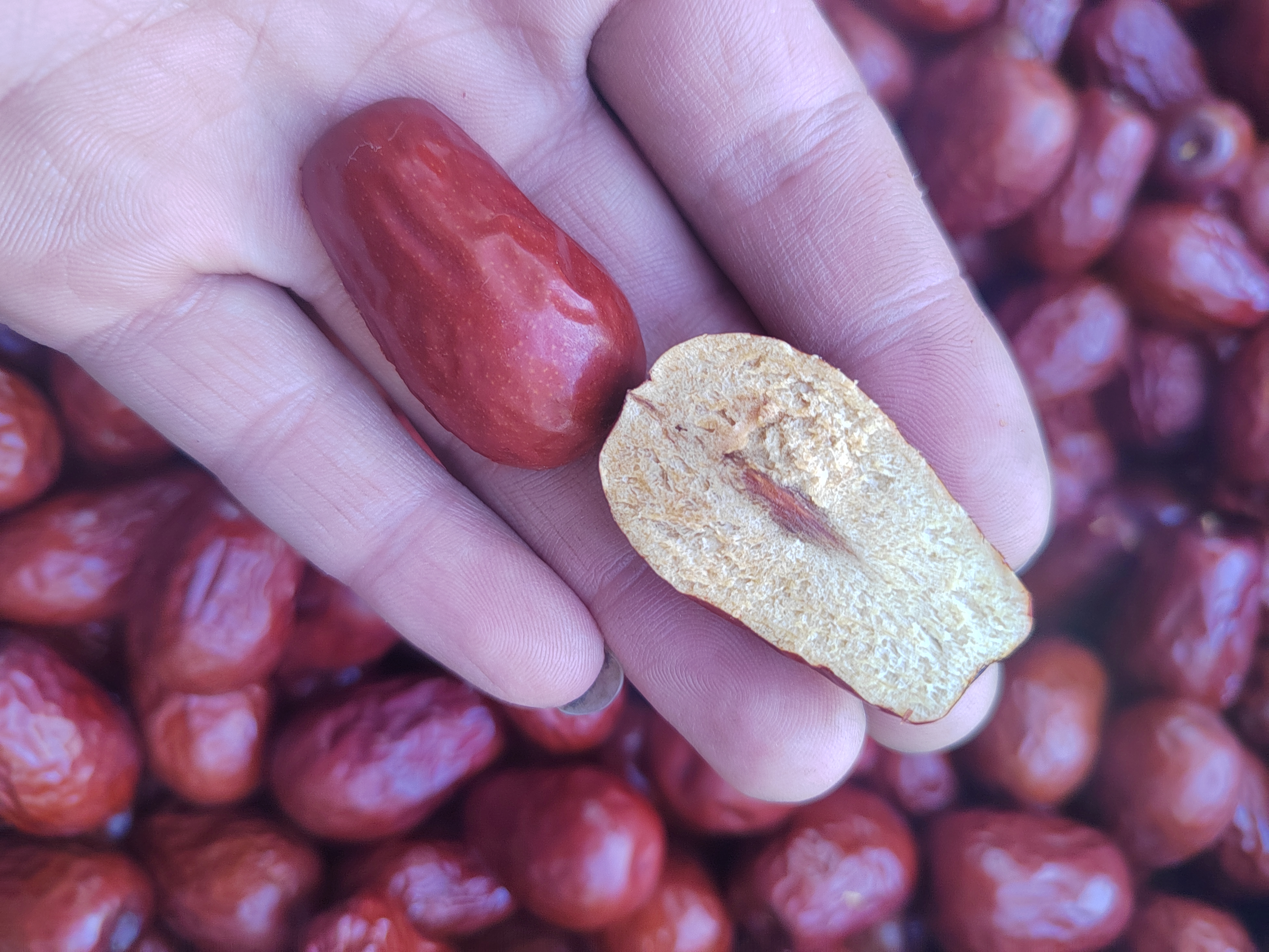 信息图展示:左侧为鲜红饱满的智利车厘子特写,右侧并列标注猪肝、黑木耳、菠菜、牛肉、红枣的实物缩略图及对应铁含量数值(单位mg/100g),用红色箭头突出车厘子0.36mg的数值位置,背景为简洁白底+浅蓝科技感网格线 车厘子与高铁食物铁含量对比信息图