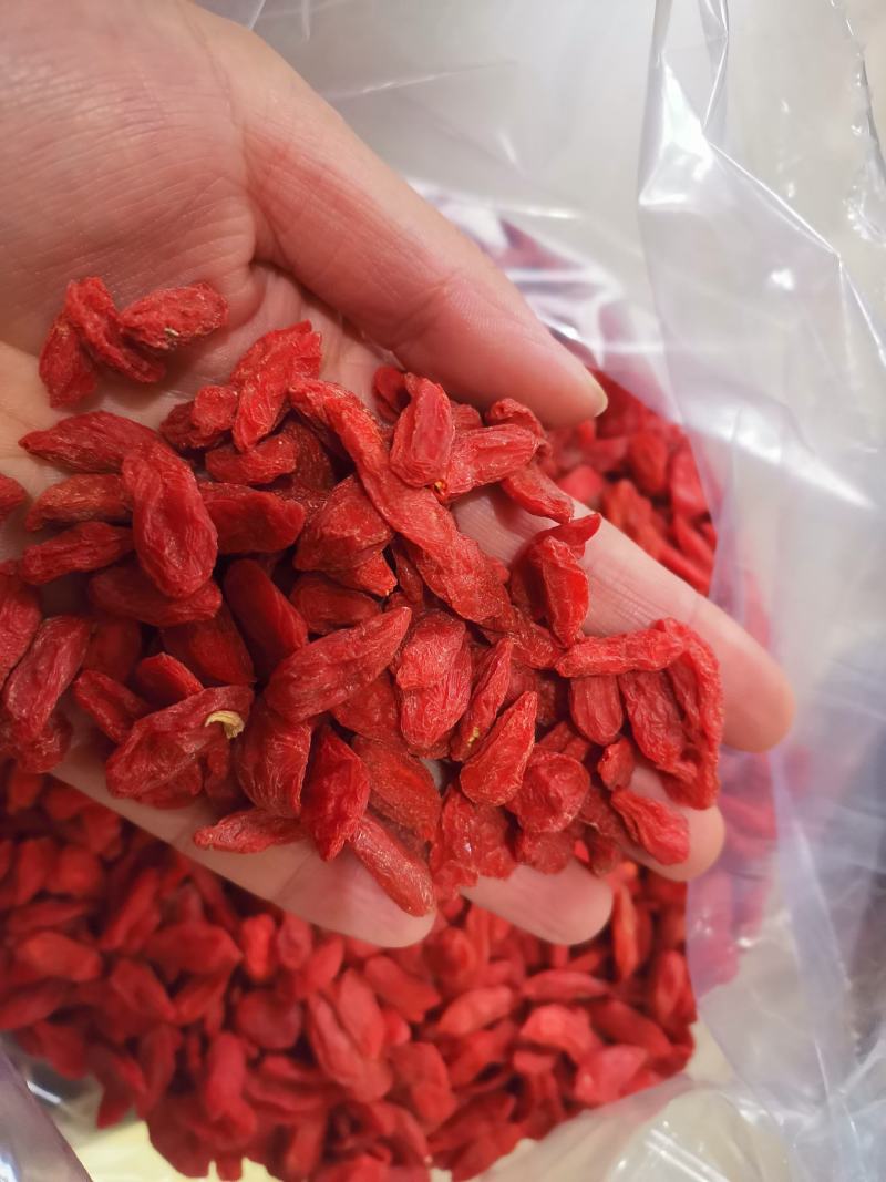 枸杞红枸杞颜色好大颗粒