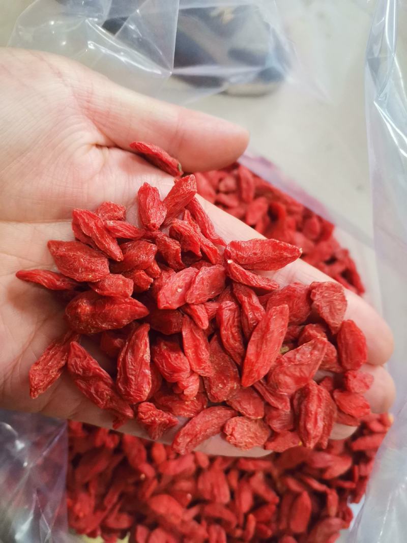枸杞红枸杞颜色好大颗粒