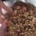 炒稻芽1公斤发货可视频看货