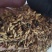 炒稻芽1公斤发货可视频看货