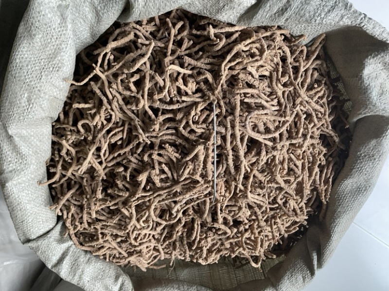 精选远志、无硫熏蒸远志、远志手选精品、抽芯、去芯、大筒