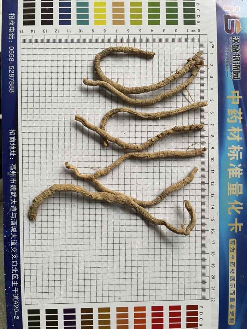 精选远志、无硫熏蒸远志、远志手选精品、抽芯、去芯、大筒