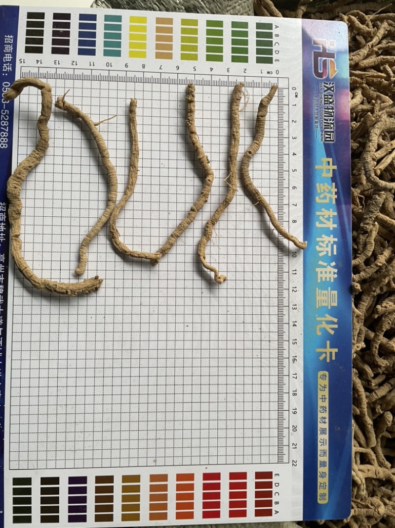 精选远志、无硫熏蒸远志、远志手选精品、抽芯、去芯、大筒