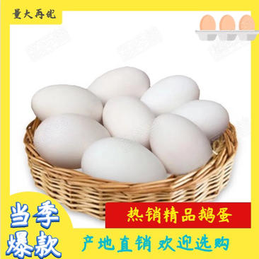 【包邮-60枚土鹅蛋】批发60枚农家饲养非双黄蛋土鹅蛋