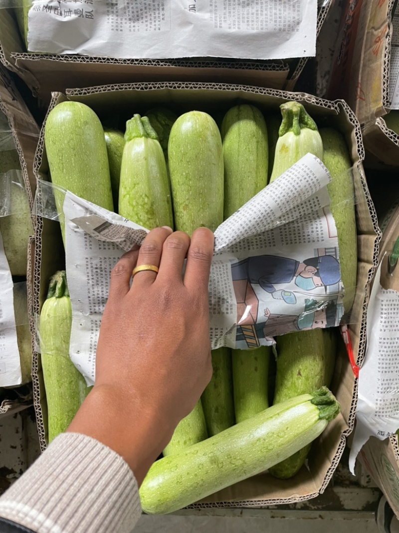 西葫芦食堂货需要的老板随时联系