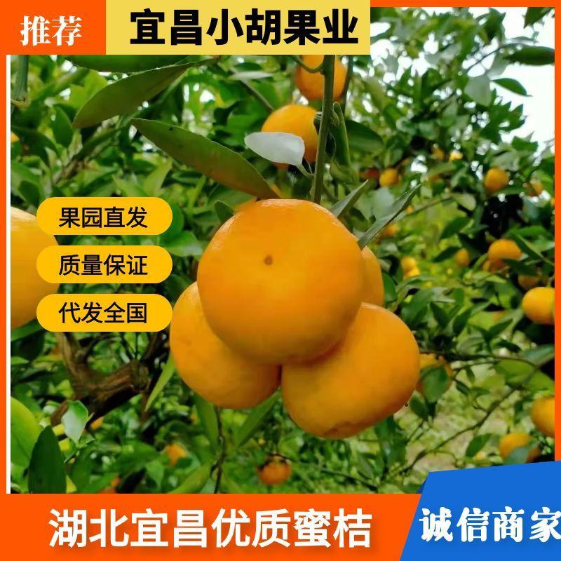 诚信接待每一位客户是我的职责所在，品质有保障，货源充足！