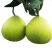 雪峰冰糖柚安江柚脆提案无酸