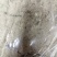 艾叶中药材艾叶野生无硫无添加精挑细选实物图经营各种规格