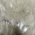 艾叶中药材艾叶野生无硫无添加精挑细选实物图经营各种规格