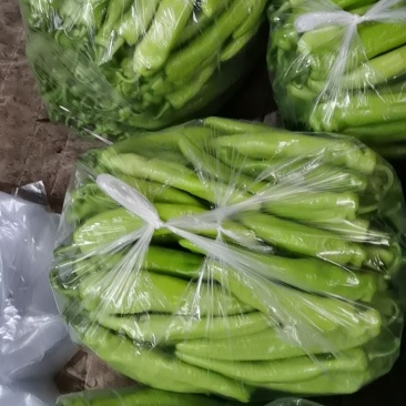 莘县产地山东聊城莘县黄皮尖椒