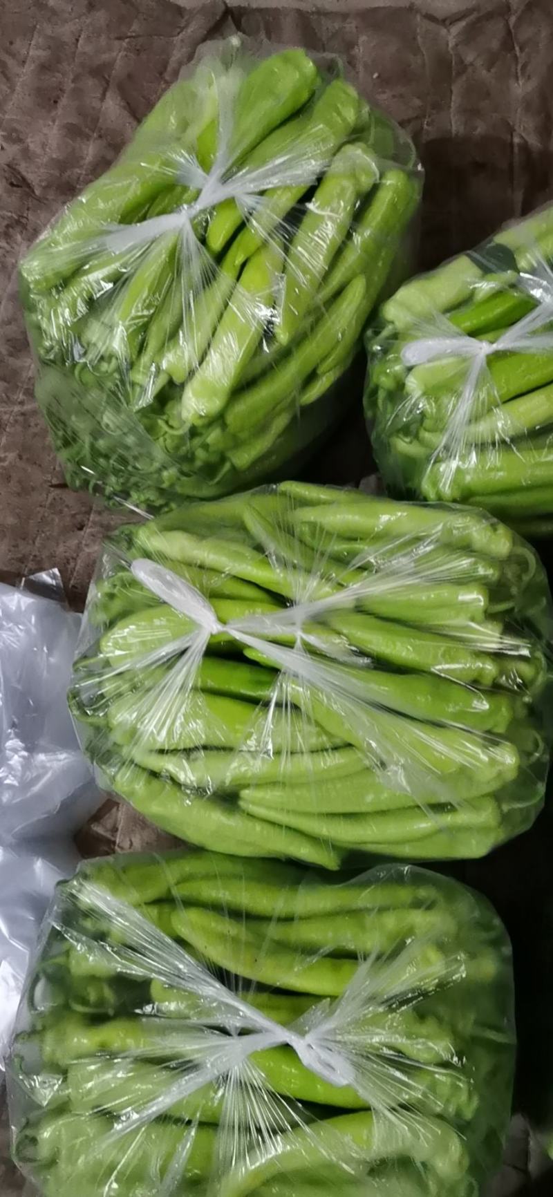 莘县产地山东聊城莘县黄皮尖椒