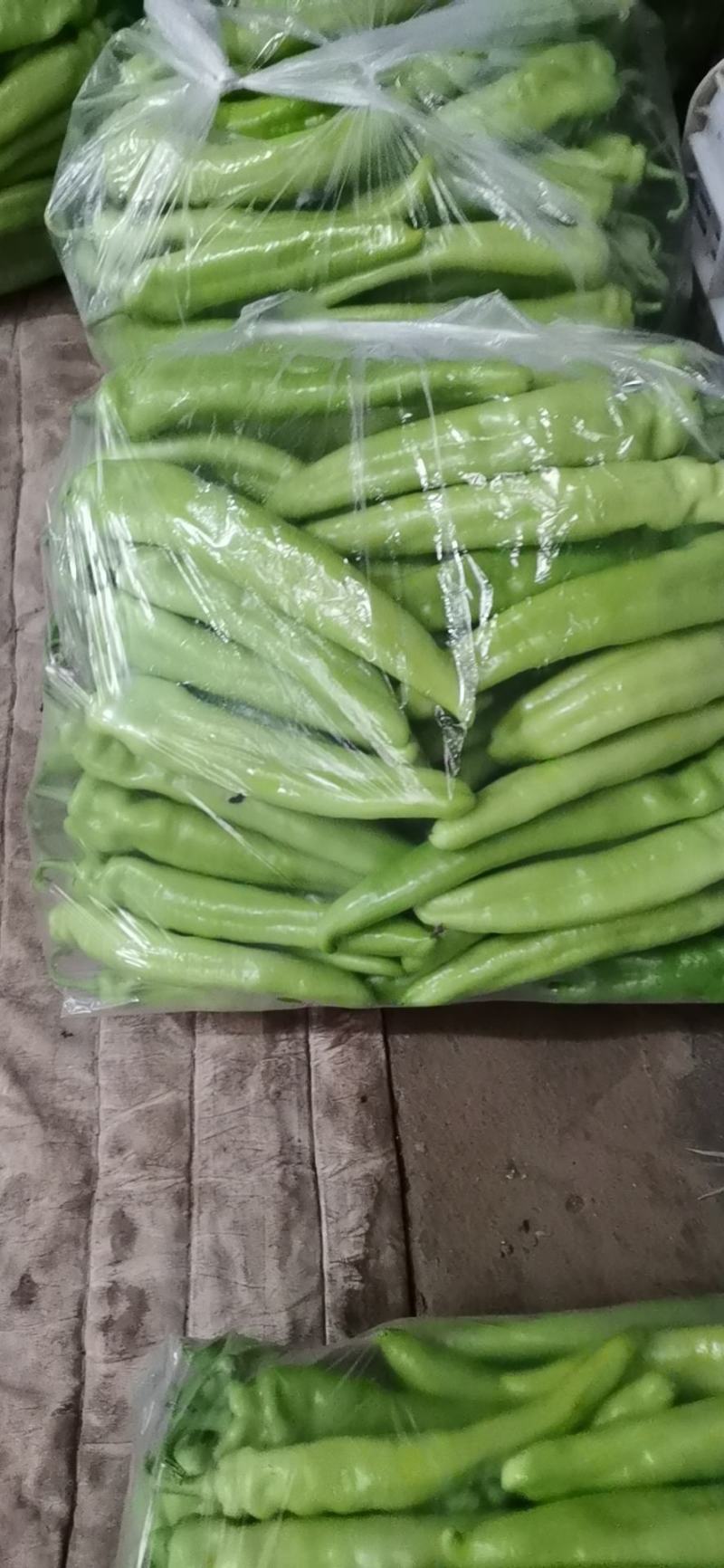 莘县产地山东聊城莘县黄皮尖椒