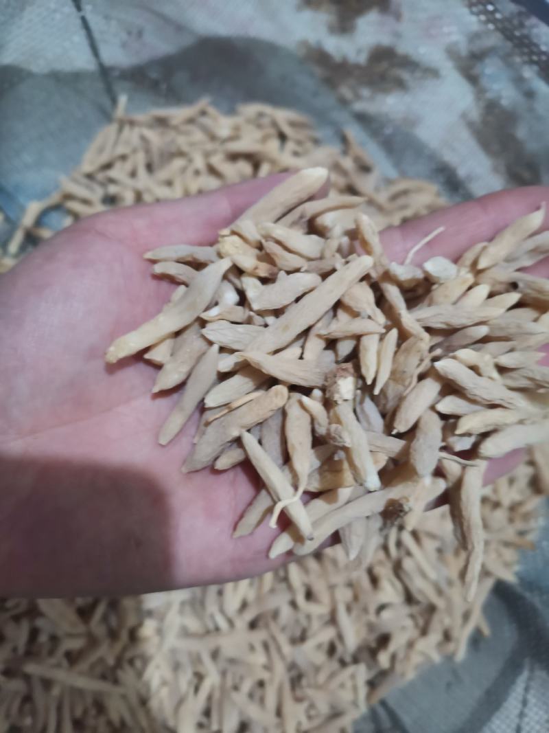 麦冬山东麦冬精品药材