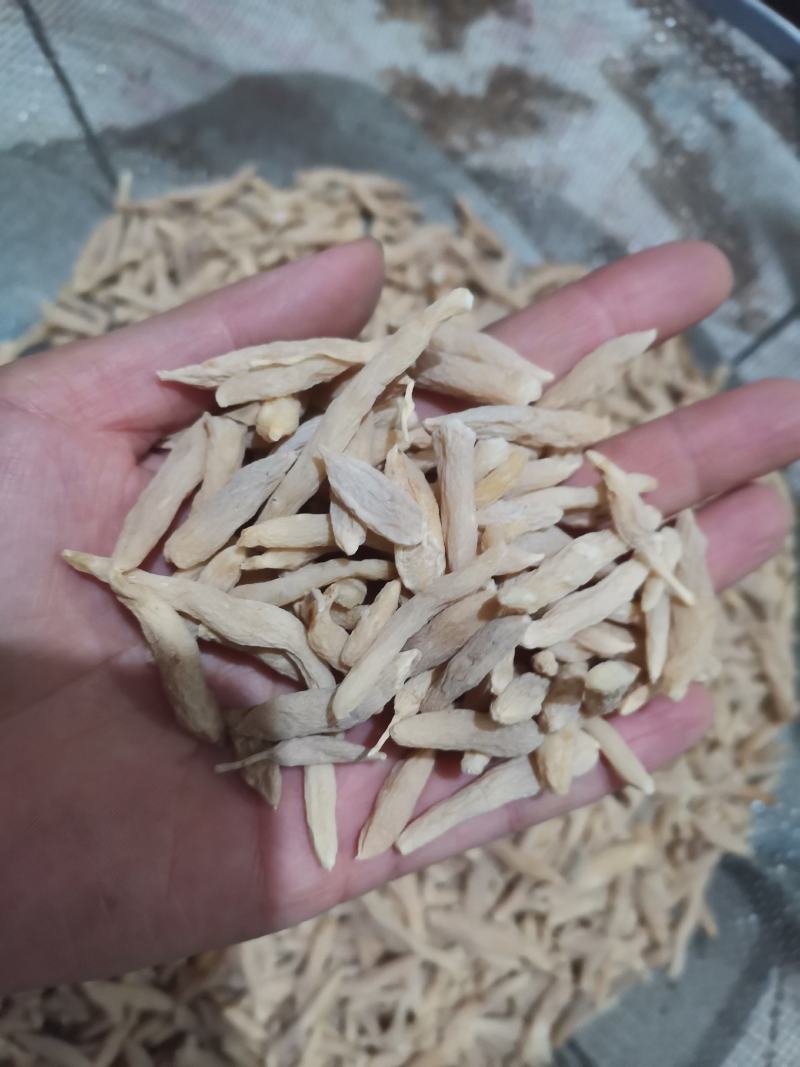 麦冬山东麦冬精品药材