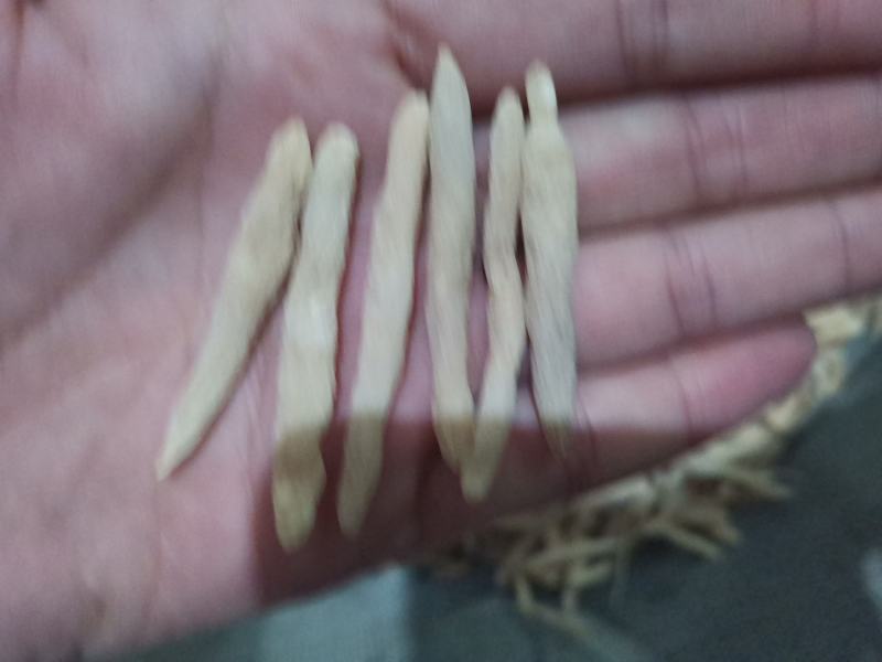 麦冬山东麦冬精品药材