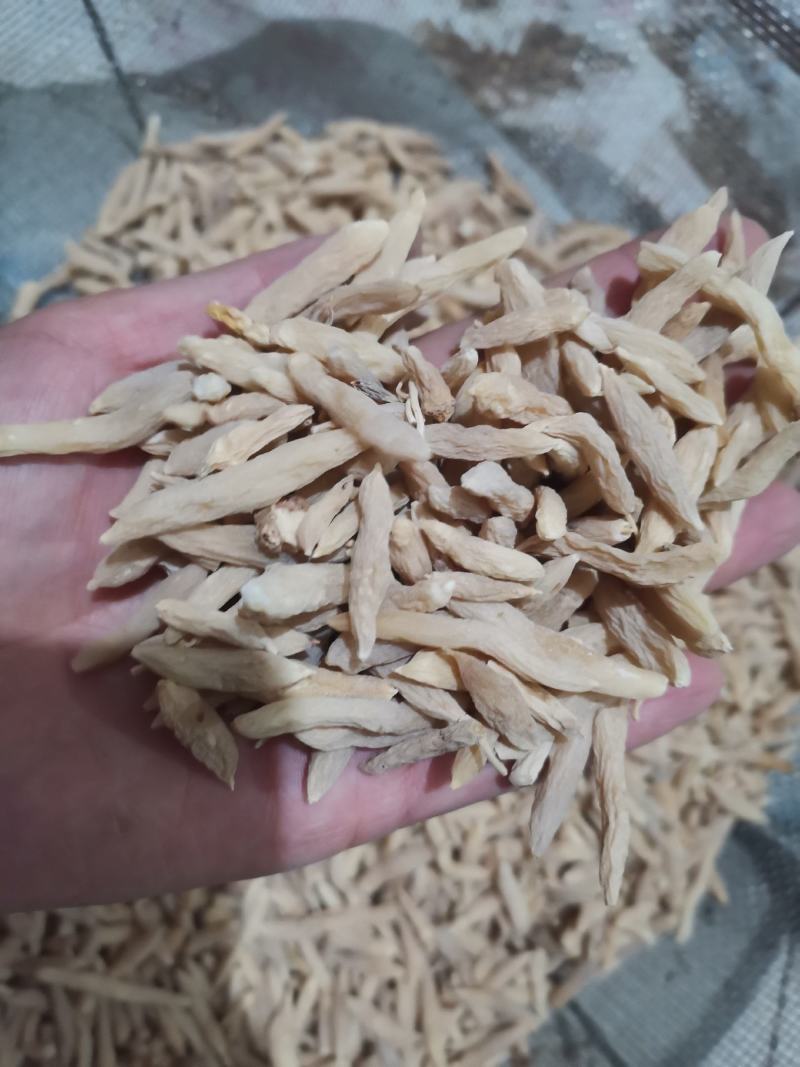 麦冬山东麦冬精品药材