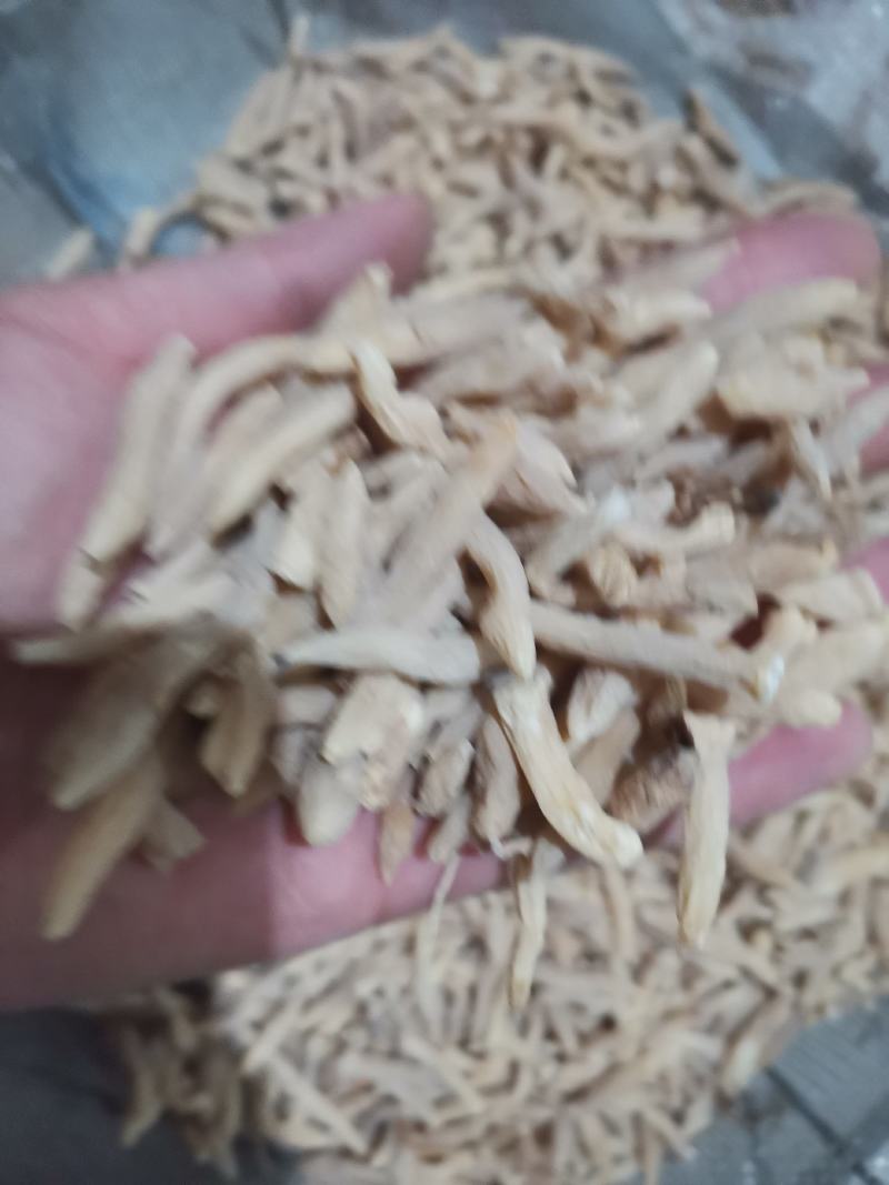 麦冬山东麦冬精品药材