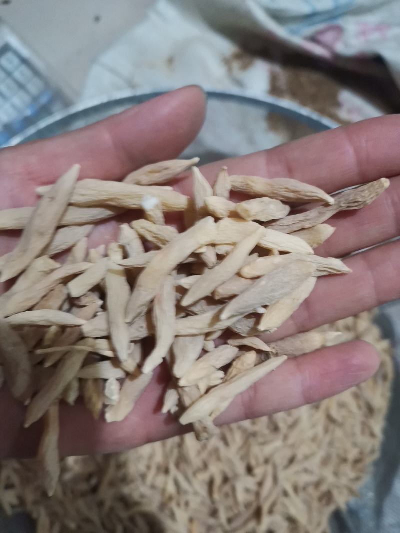 麦冬山东麦冬精品药材